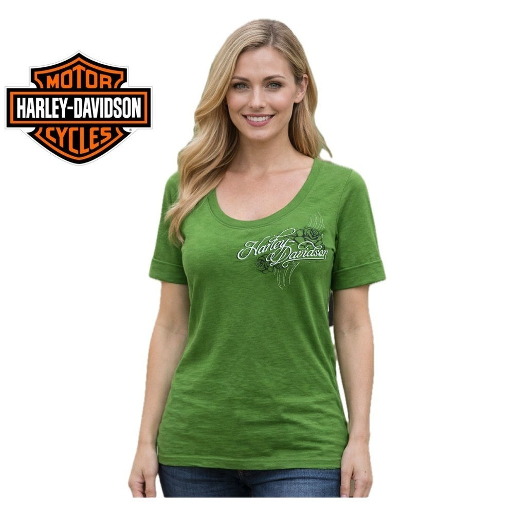 Harley Davison smoky mountain maryville TN…